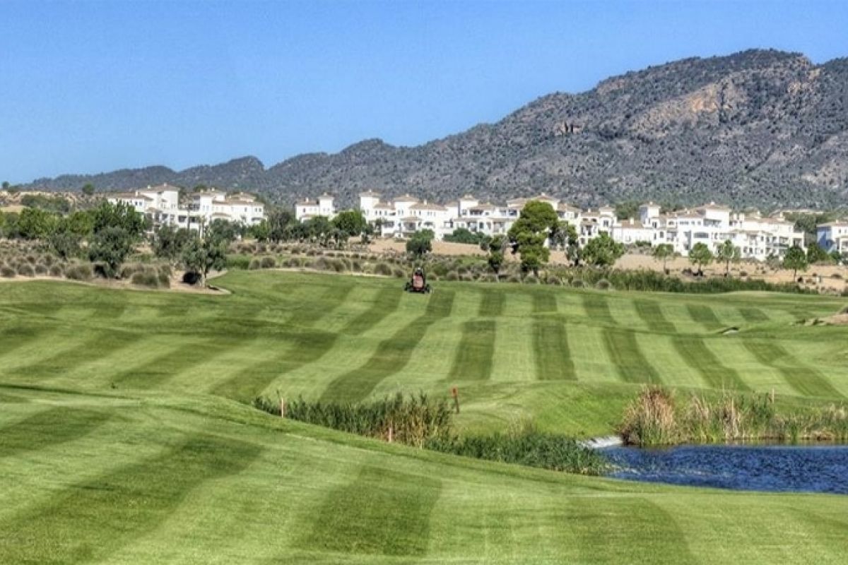Hacienda Riquelme